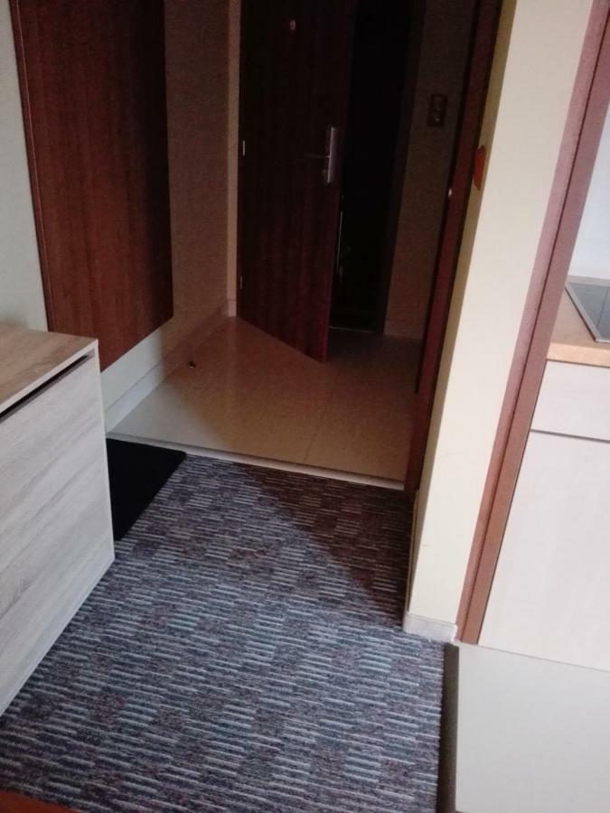 Apartman Fiona Vel'ka Lomnica Exteriör bild